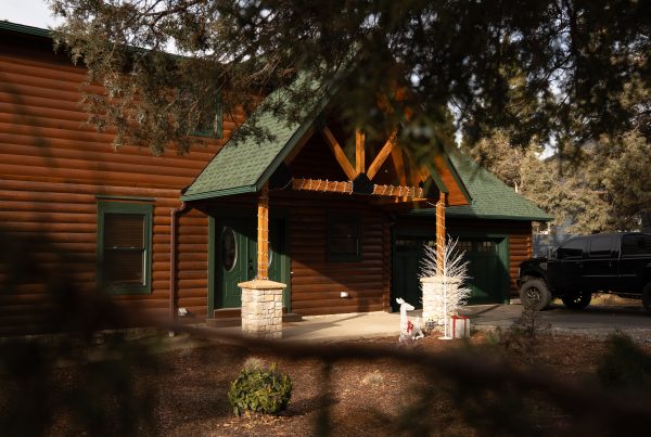 Log home front with tree branches in the foreground