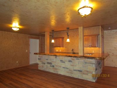 Log Siding in Basement